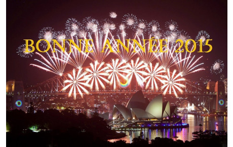 Bonne année 2015 