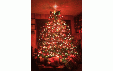 Joyeux NOEL