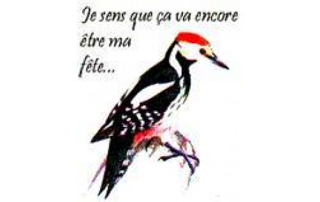 Tire à l'Oiseau