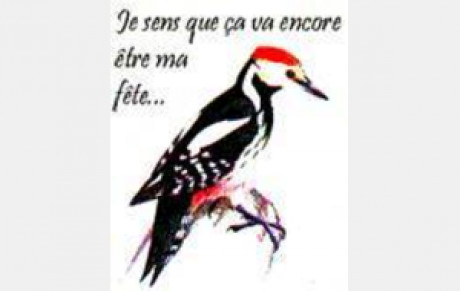 ABAT L'OISEAU